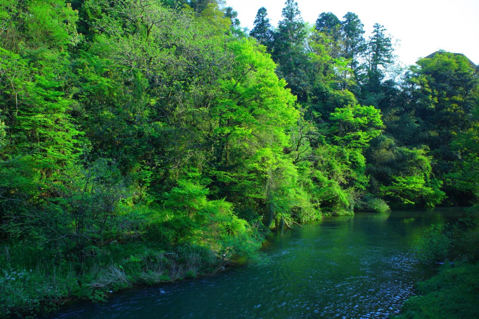 Ryokan Yamanakaonsen Ohanami Kyubei Kaga (Ishikawa)